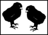 Two Black Chicks With White Background Clip Art