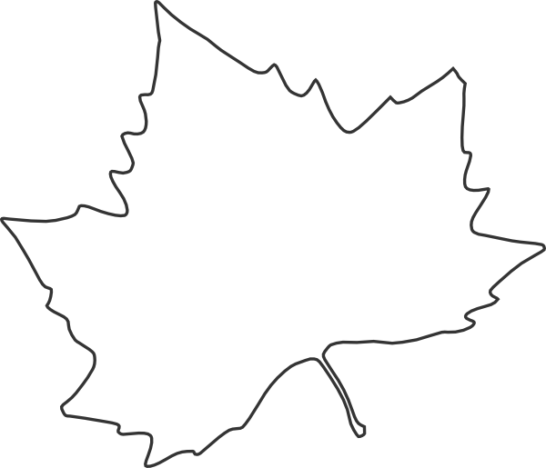 free clip art maple leaf outline - photo #9