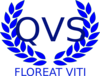 Qvs Fiji Logo Clip Art