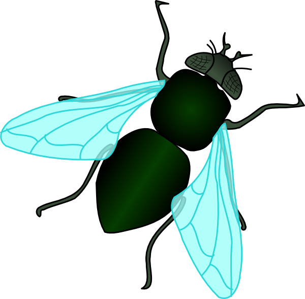 fly clipart - photo #1