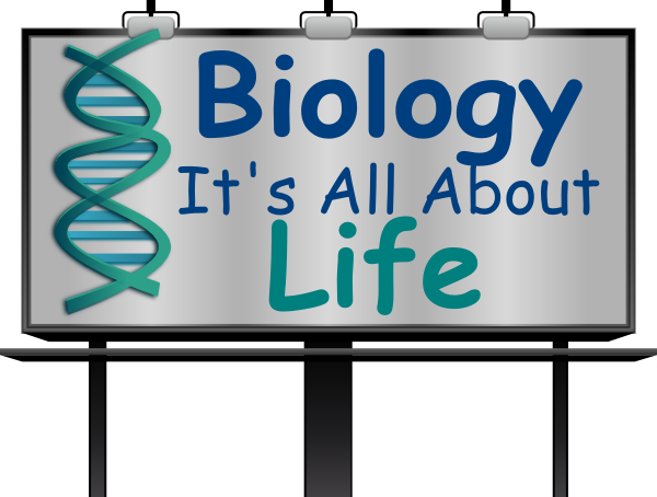 Program Human Biology