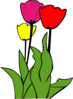 Fiori Clip Art