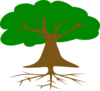 Treeroot777 Clip Art