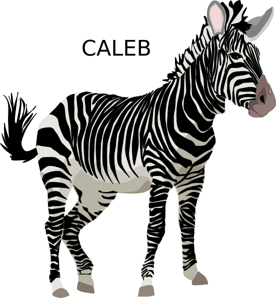 zebra outline clip art - photo #26