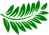 Darker Green Fern Clip Art