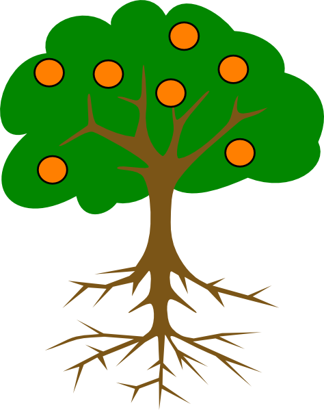 clipart orange tree - photo #13