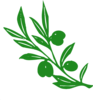 Olive Branch Clip Art