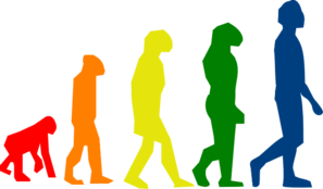 Evolutions By Faical 2 Clip Art