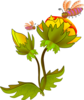 Flower Clip Art