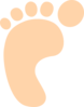 Apricot Footprint Clip Art