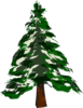 Pine Tree Clip Art