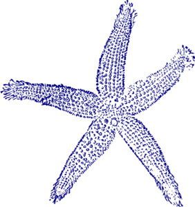 Maehr Starfish Wedding Clip Art