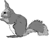 Grey Squirrel Clip Art
