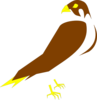 Falcon Clip Art