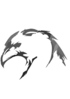 Eagle Face Png Clip Art