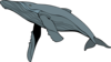 Humback Whale B/w Clip Art