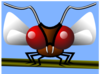 Fly Clip Art