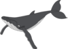 Whale Clip Art