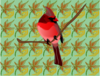 Red Cardinal  Clip Art