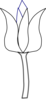 Tulip Clip Art