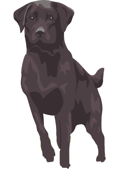 clipart yellow labrador retriever - photo #47