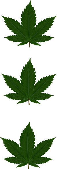 free clip art weed leaf - photo #11