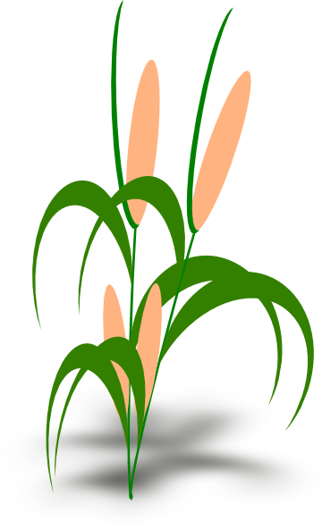 Plant clip art plant clip art. Plant clip art
