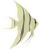 Angel Fish Clip Art