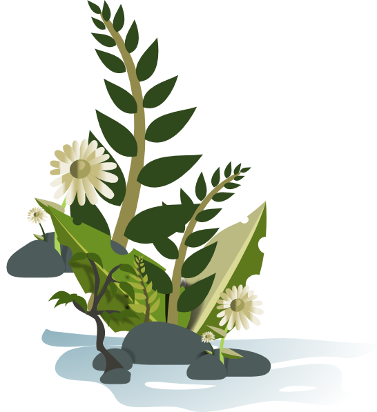 clip art green plant - photo #17