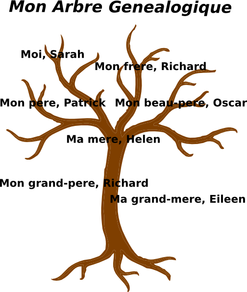 clipart of family tree - photo #40