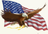 Eagle And Flag Clip Art