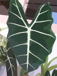 Plant Leaf 2 Clip Art