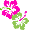 Hibiscus Pink Lime Green Clip Art