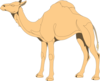 Camel Outline Clip Art