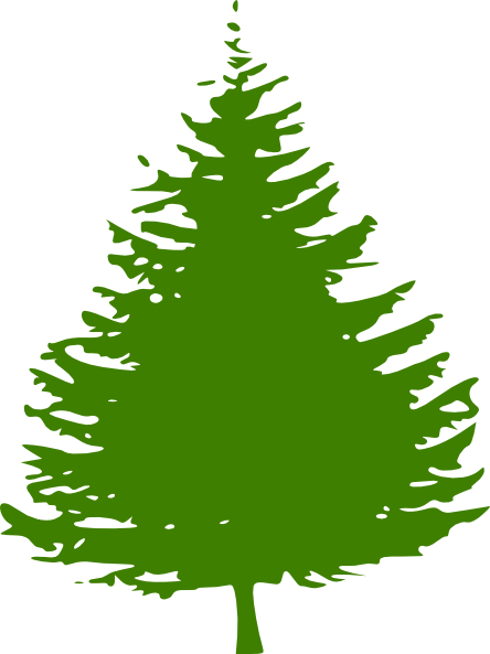 pine trees clipart - photo #8