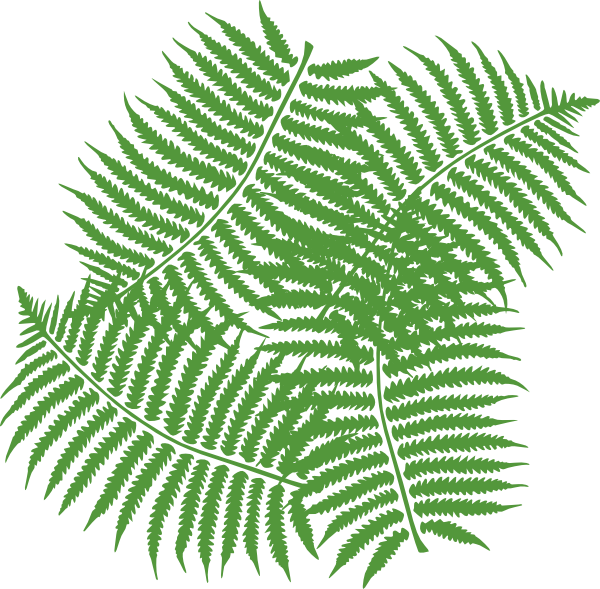 clip art fern leaf - photo #6