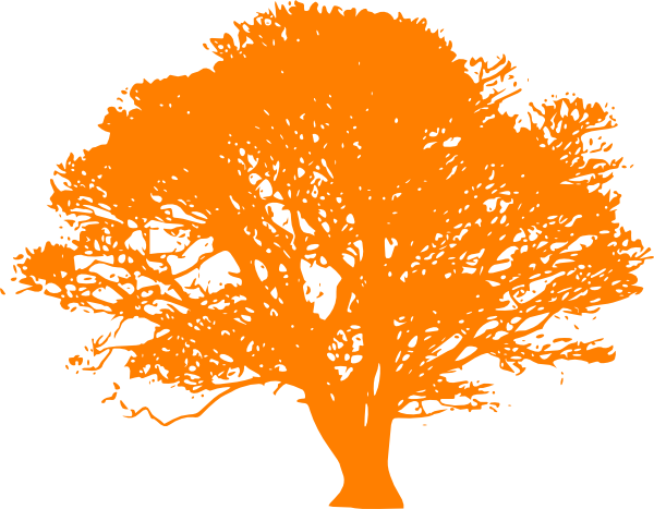 clipart orange tree - photo #17