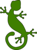 Gecko  Clip Art