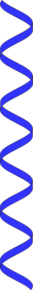 Vertical Helix Blue Clip Art