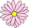 Pink Daisy Flower 3 Clip Art