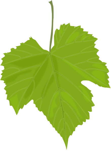 clip art grape leaf - photo #1
