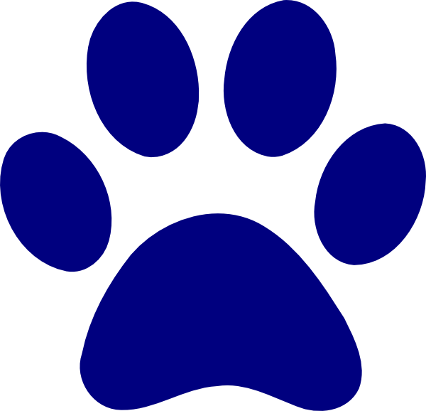 Blue sales bear paws