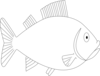 Full Size Fish Clip Art