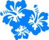 Hibiscus Blue  Clip Art