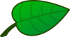Leaf Clipart Green Clip Art