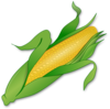 Corn Clip Art