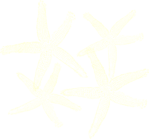 Starfish Prints In Yellow Clip Art