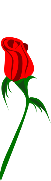 clip art white rose bud - photo #9