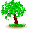 Tree With Large Leaves Clip Art