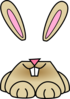 Bunny Clip Art